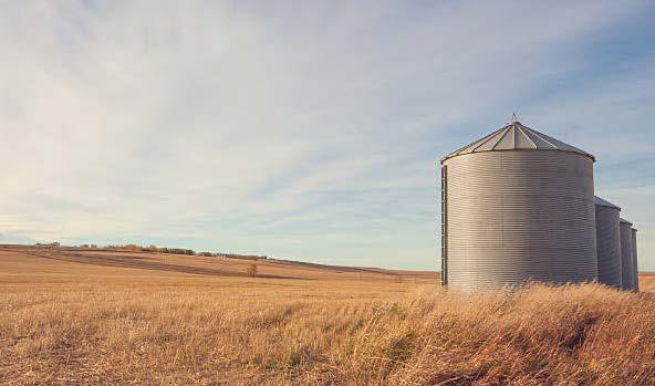 Grain Stores